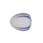 Rugby Appeal Skill Ball